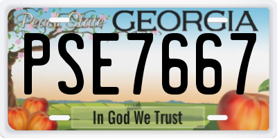 GA license plate PSE7667
