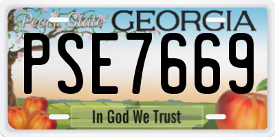 GA license plate PSE7669