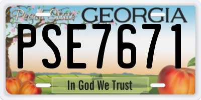 GA license plate PSE7671