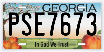 GA license plate PSE7673