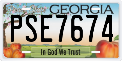 GA license plate PSE7674