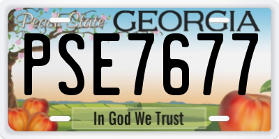 GA license plate PSE7677