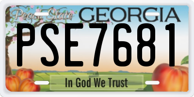 GA license plate PSE7681
