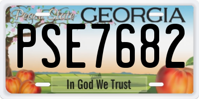 GA license plate PSE7682