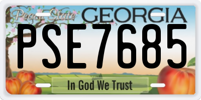 GA license plate PSE7685