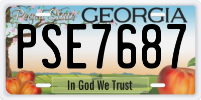 GA license plate PSE7687