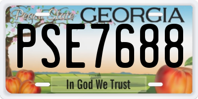 GA license plate PSE7688