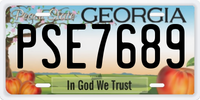 GA license plate PSE7689