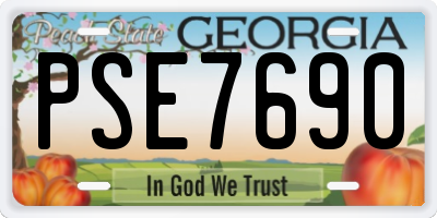 GA license plate PSE7690