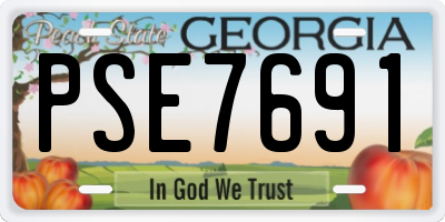 GA license plate PSE7691