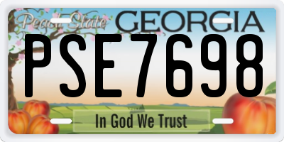 GA license plate PSE7698