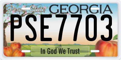 GA license plate PSE7703
