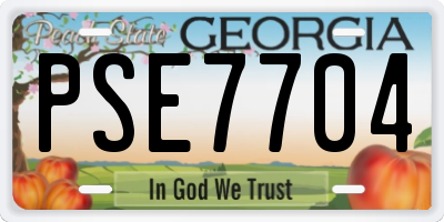 GA license plate PSE7704