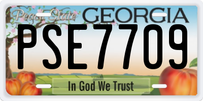 GA license plate PSE7709