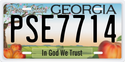 GA license plate PSE7714