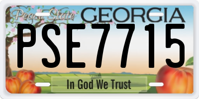 GA license plate PSE7715