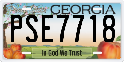 GA license plate PSE7718