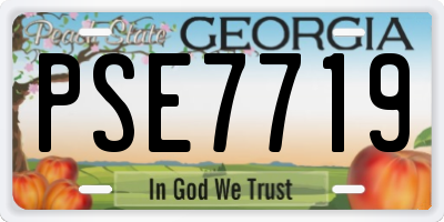 GA license plate PSE7719