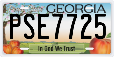 GA license plate PSE7725