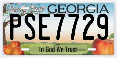 GA license plate PSE7729