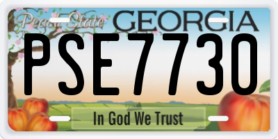 GA license plate PSE7730