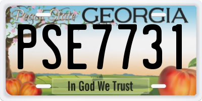 GA license plate PSE7731