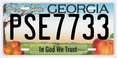 GA license plate PSE7733