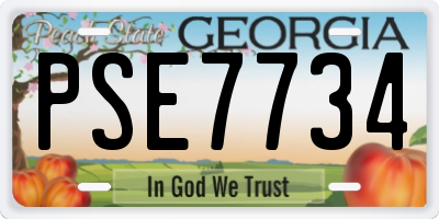 GA license plate PSE7734