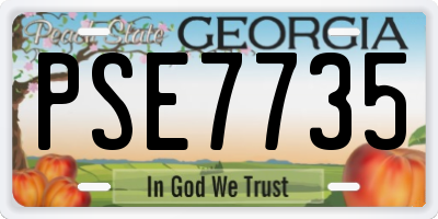 GA license plate PSE7735