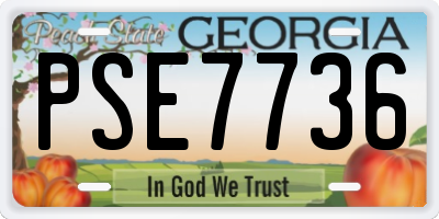 GA license plate PSE7736