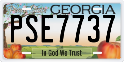 GA license plate PSE7737