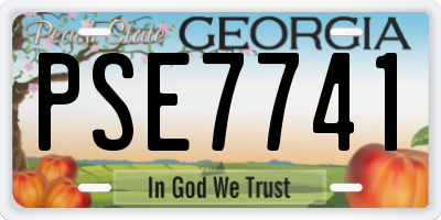 GA license plate PSE7741