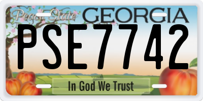 GA license plate PSE7742
