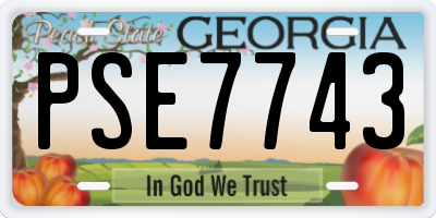 GA license plate PSE7743