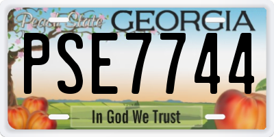 GA license plate PSE7744