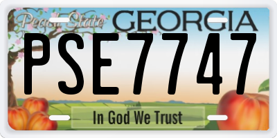 GA license plate PSE7747