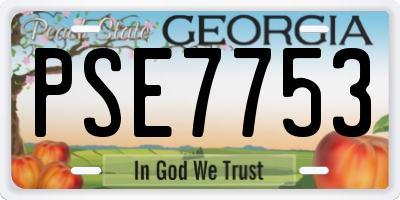 GA license plate PSE7753