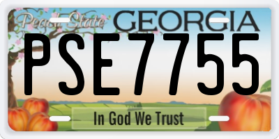 GA license plate PSE7755