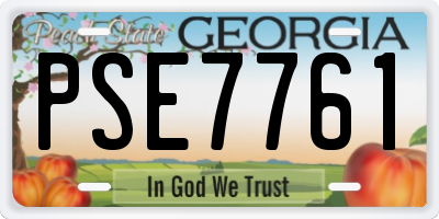 GA license plate PSE7761