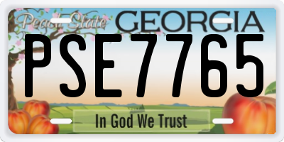 GA license plate PSE7765