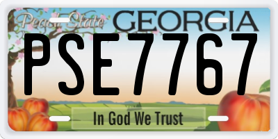 GA license plate PSE7767
