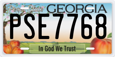 GA license plate PSE7768