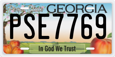GA license plate PSE7769