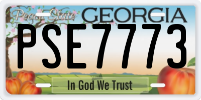GA license plate PSE7773