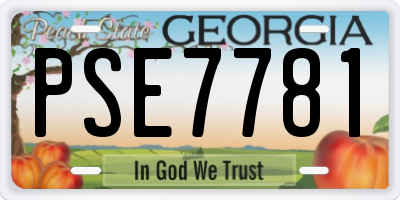 GA license plate PSE7781