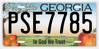 GA license plate PSE7785
