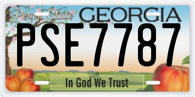 GA license plate PSE7787