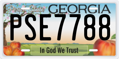 GA license plate PSE7788