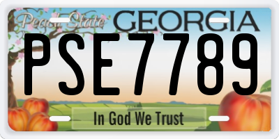 GA license plate PSE7789
