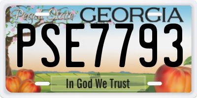 GA license plate PSE7793